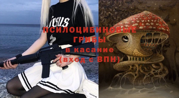 хмурый Абинск